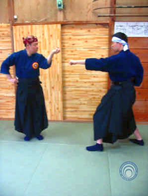 Soke Koryu Karate koryu-karate.jpg