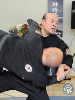 Soke Shinden Fudo Ryu soke-throw.jpg