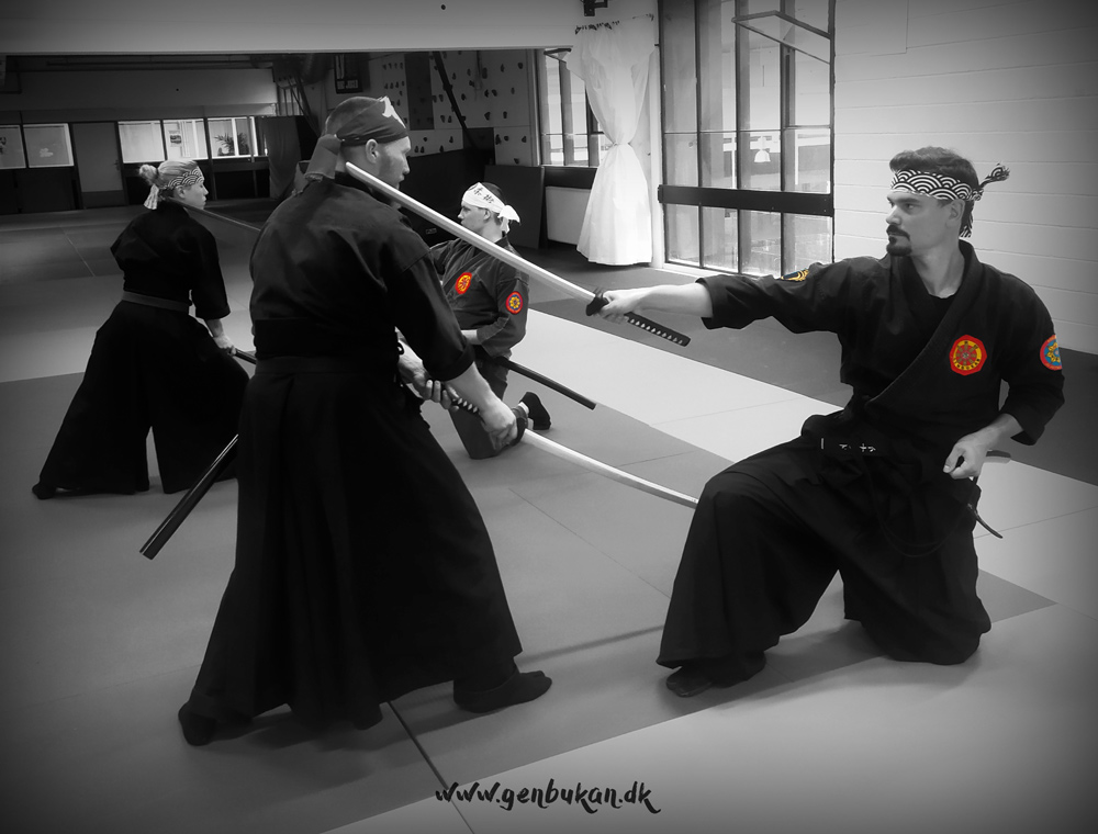 Genbukan Denmark Seminar 2022 Bikenjutsu