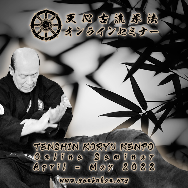 Tenshin Koryu Kenpo Online Seminar 2022